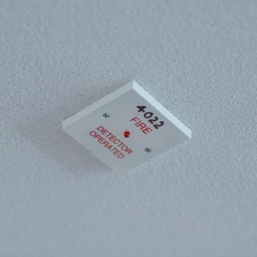 Detection and Alarm